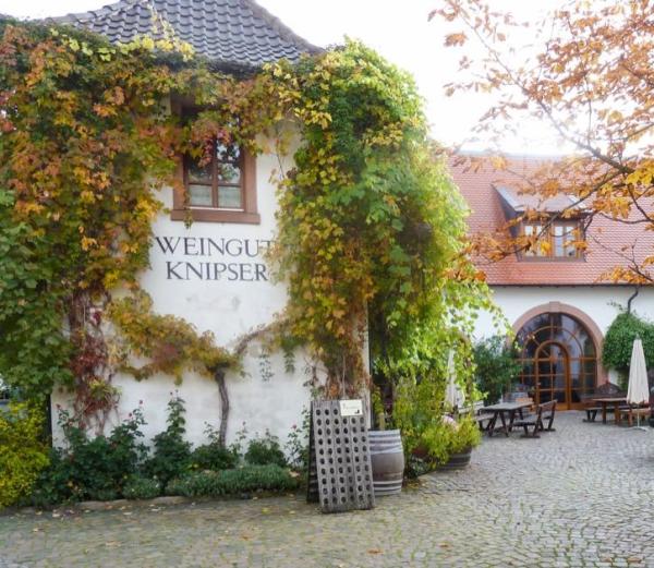 Weingut Knipser in Laumersheim
