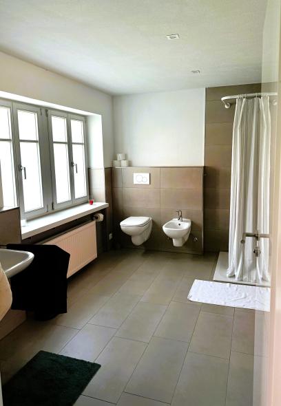 Ferienwohnung Kleinkarlbach Badezimmer mit Toilette